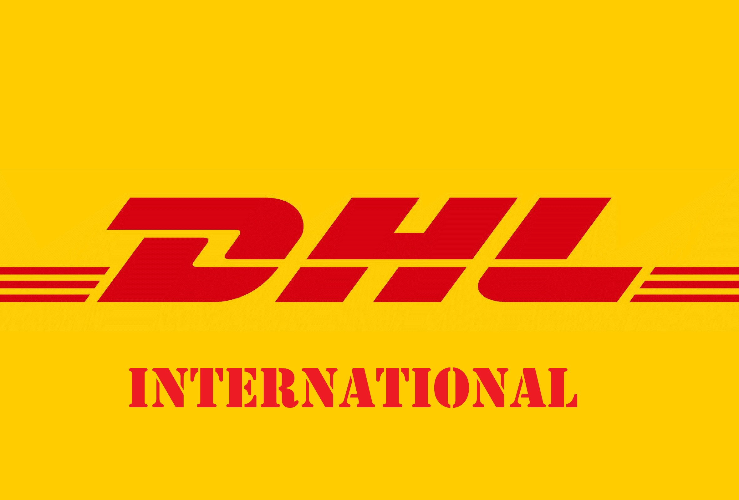 Kühlpaket DHL International